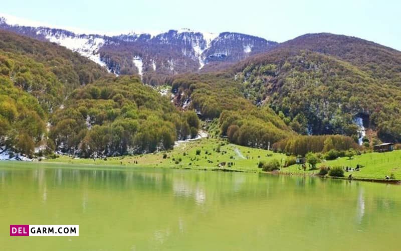 دریاچه یسان با گل های نایاب و بی نظیری به نام سوسن چلچراغ