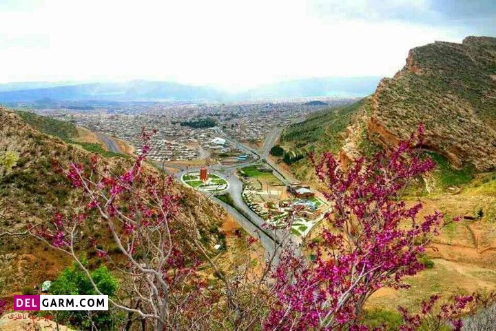 تنگه ارغوان