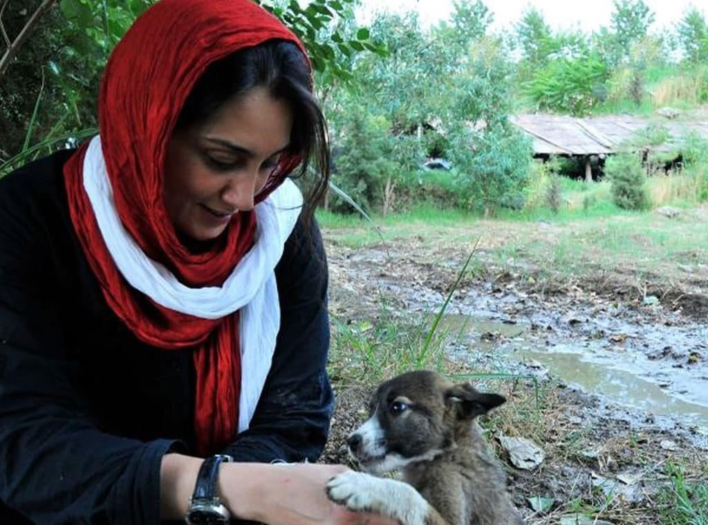 6 نکته جالبی که مطئمنا از هدیه تهرانی نمی دانید !