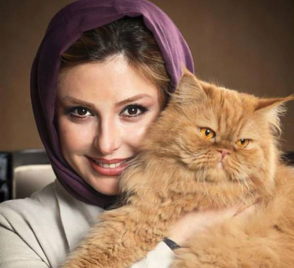 اینستاپست بازیگران در روز جهانی گربه!