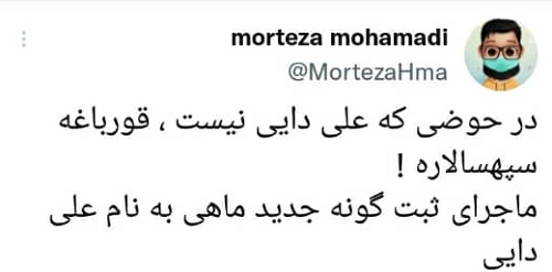 ماهی علی دایی