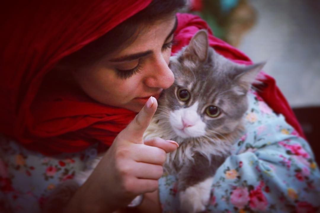سبا سلیمانی