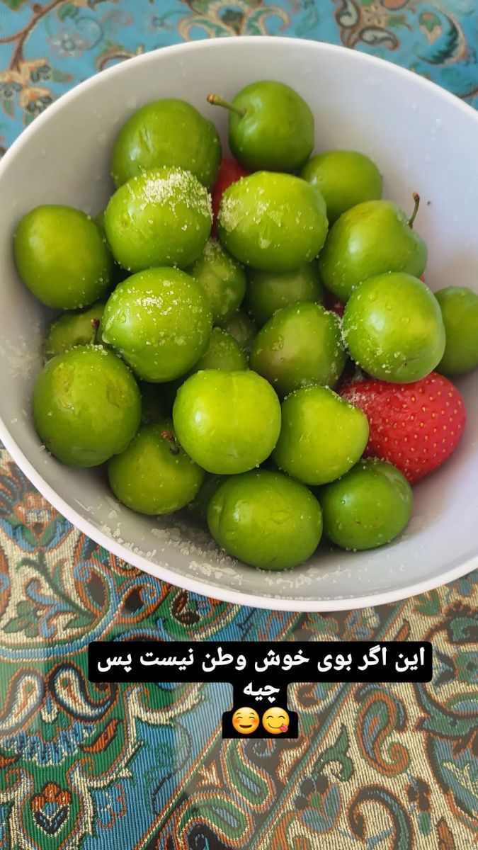 بوی خوش وطن برای مهناز افشار !!