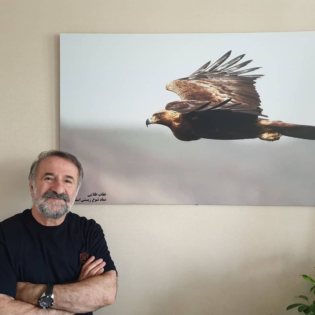 مهران رجبی