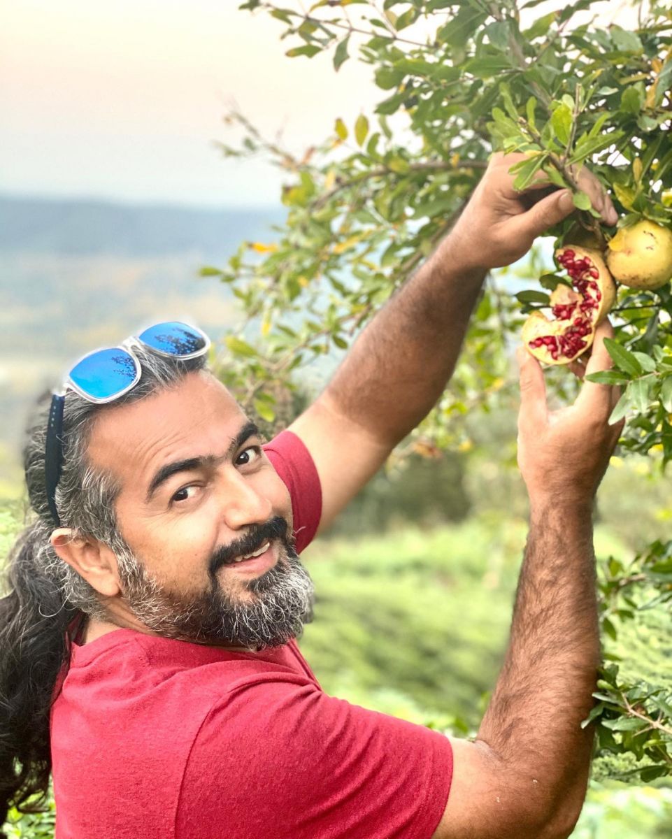 پرواز همای