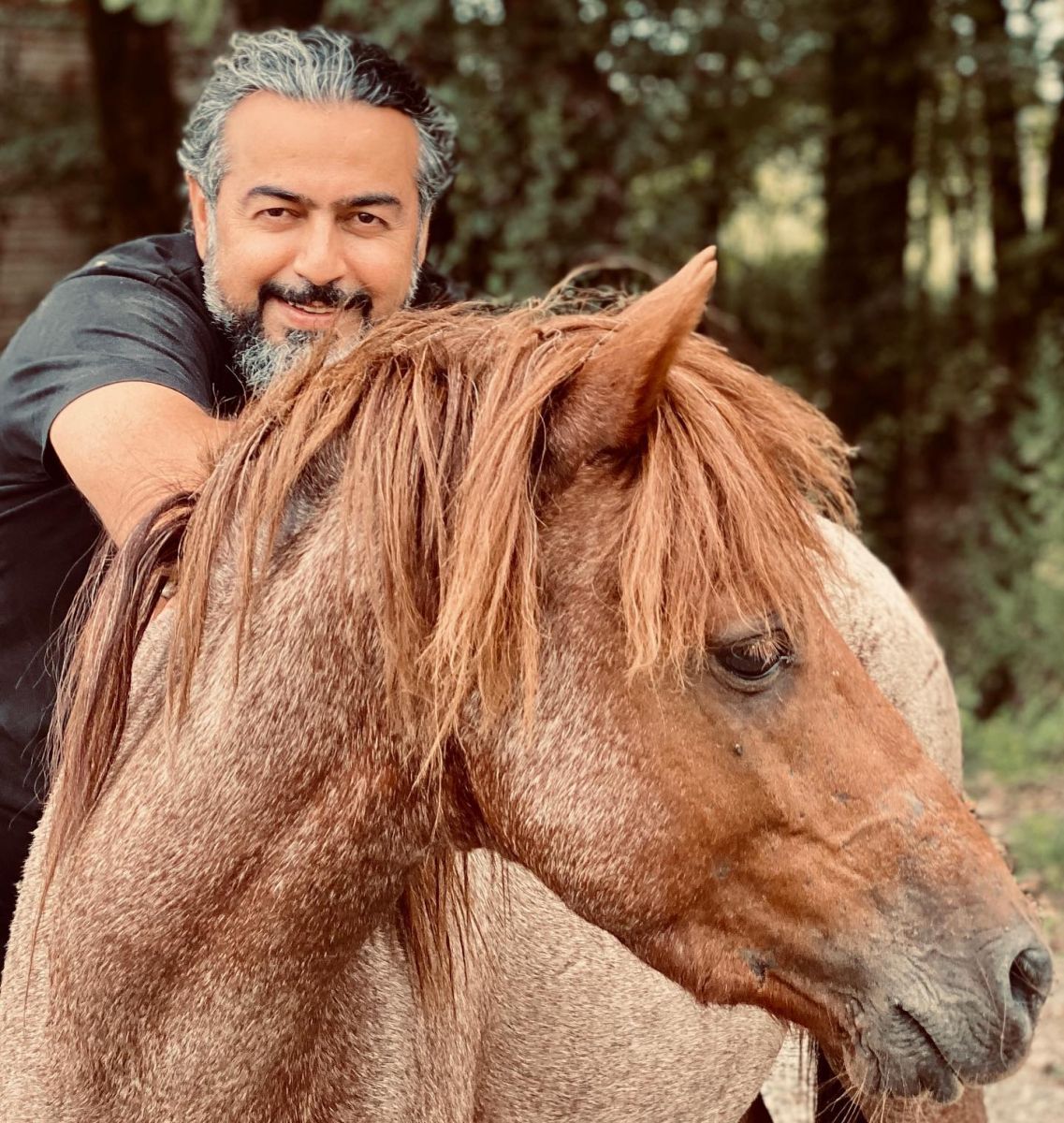 پرواز همای