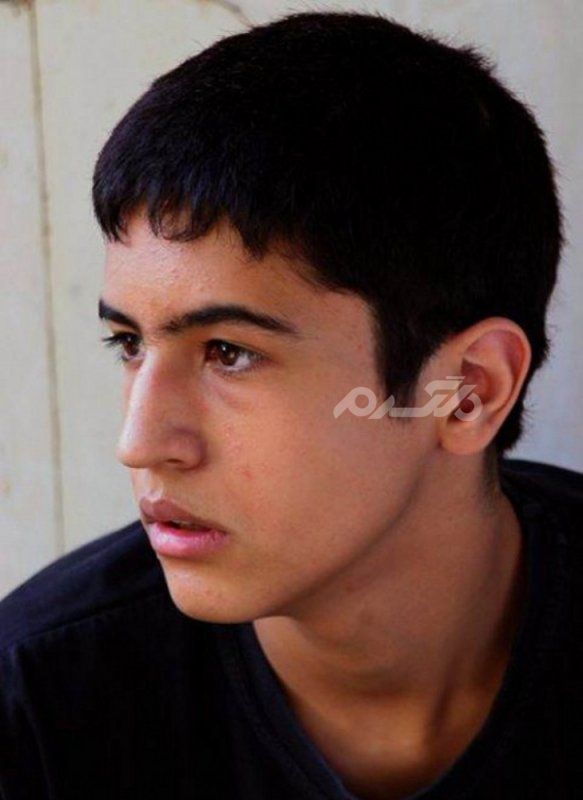 مهرداد صدیقیان