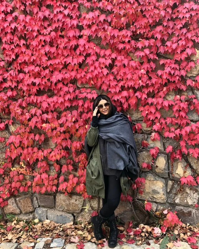 بیوگرافی آزاده صمدی