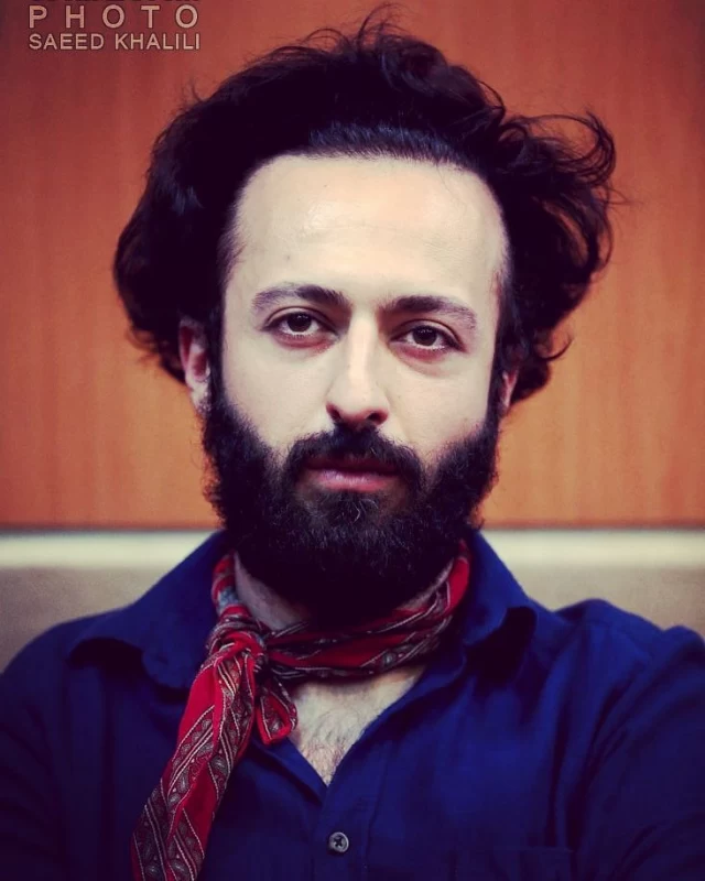 بیوگرافی حسام محمودی