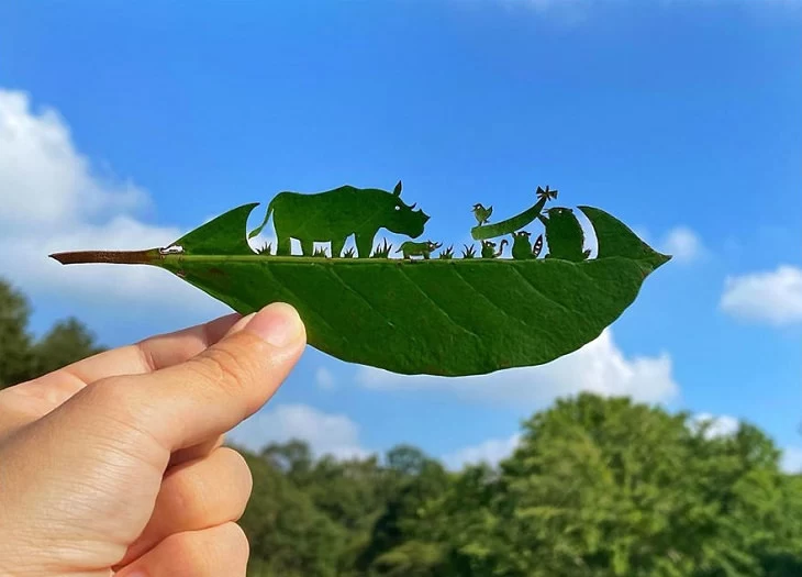 حکاکی های جذاب هنرمند مشهور روی برگ درختان (+تصاویر)