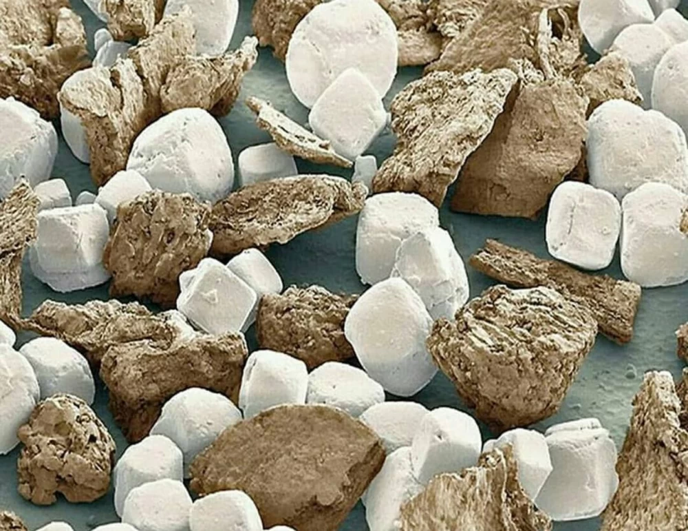 چند تصویر میکروسکوپی جالب از مژه انسان تا کاغذ برش خورده !
