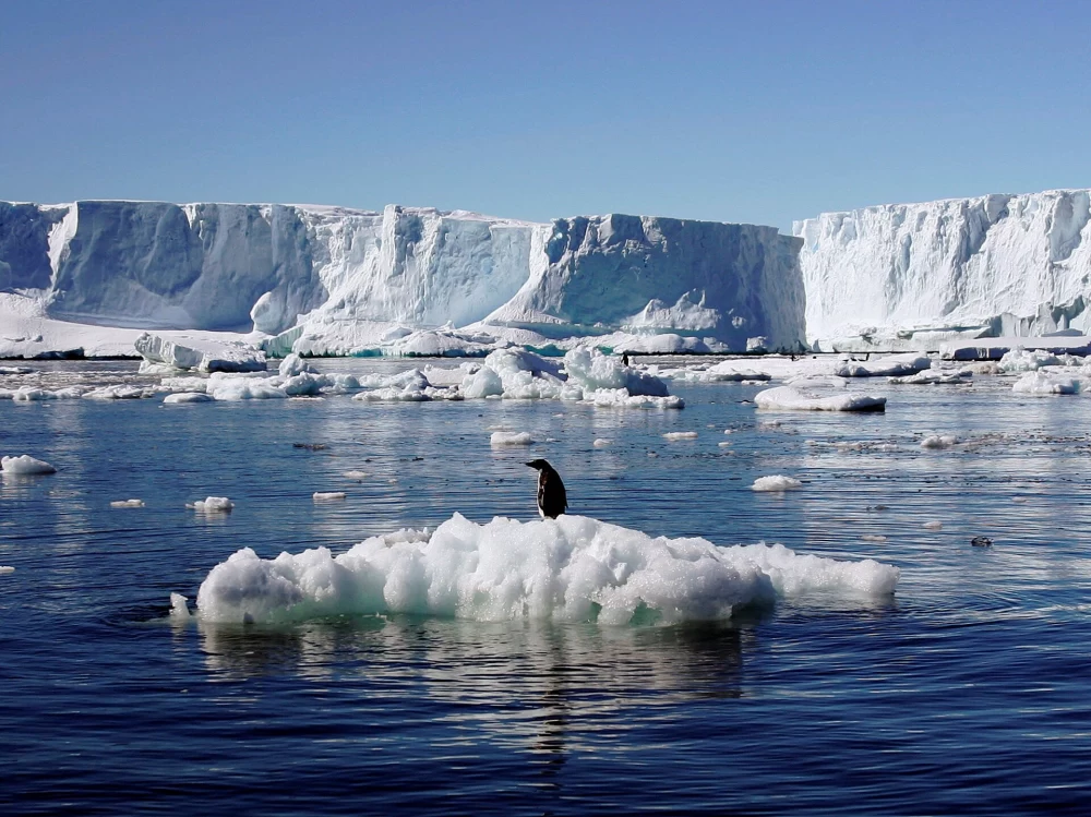 سوگل خلخانیان در قطب جنوب