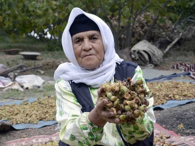 بهترین فندق مال کجاست