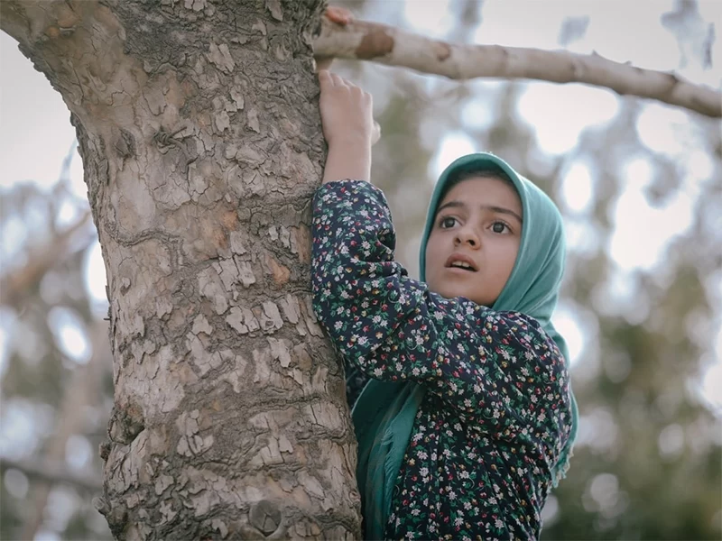 زمان پخش سریال تنها گریه کن 