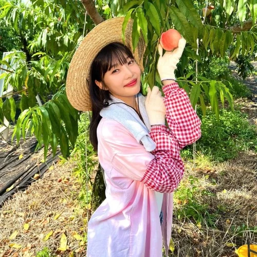 برنامه غذایی Red Velvet's Joy