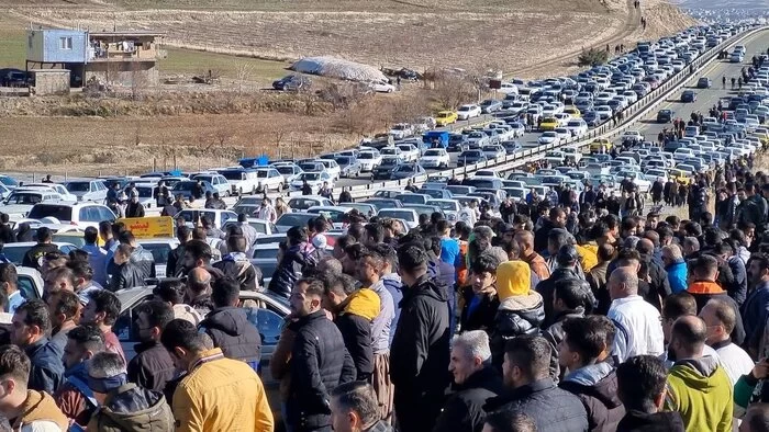 زندگینامه فریار امینی پور 