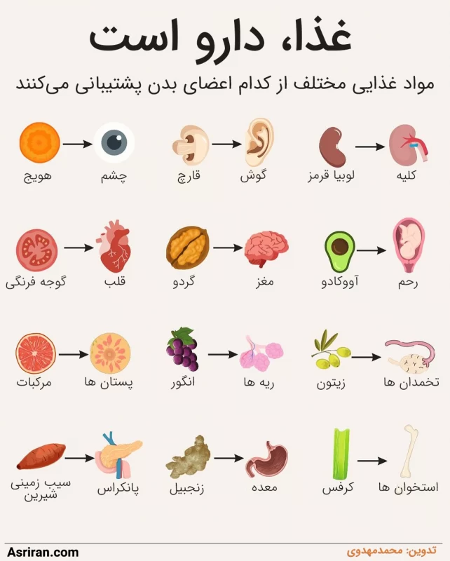 غذاهایی که شبیه اندام های بدن هستند: تصادفی یا عمدی؟!