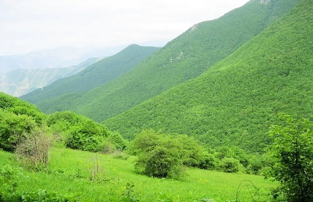 شهرستان ورزقان کجاست و جنگل دیزمار چگونه جایی است ؟