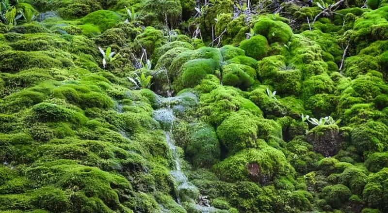 شهر بدون قبرستان ایران کجاست و به چه علت اینگونه است؟