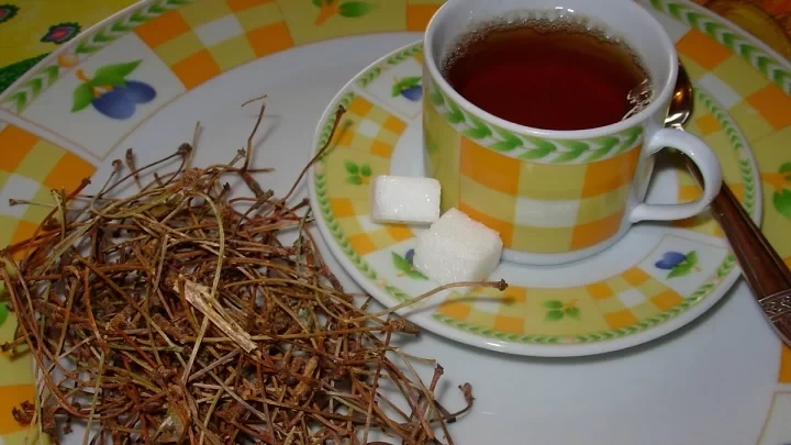 دم آلبالو را دور نریزید !!