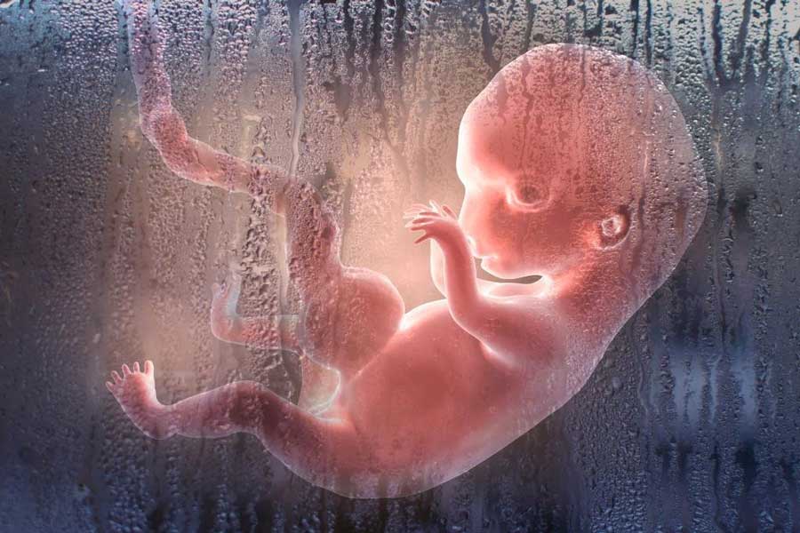 سقط جنین چگونه انجام میشود ؟