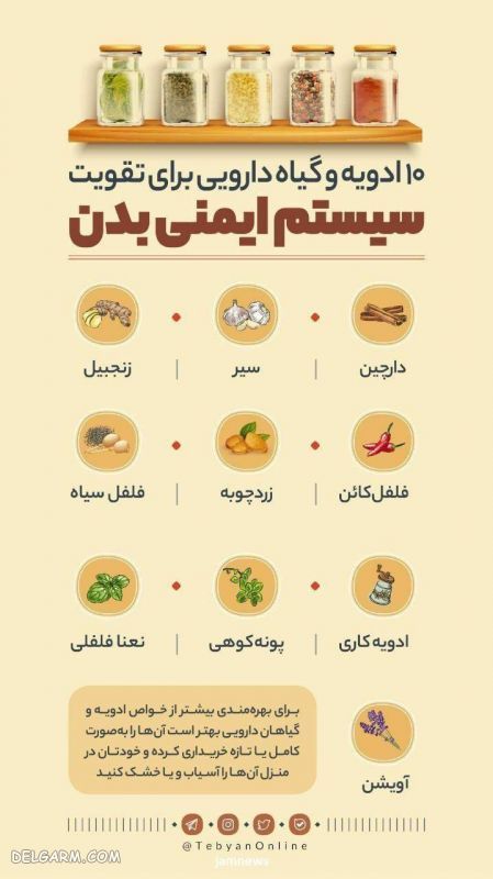 ۱۰ گیاه دارویی برای تقویت سیستم ایمنی بدن