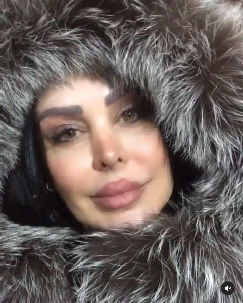 فلور نظری