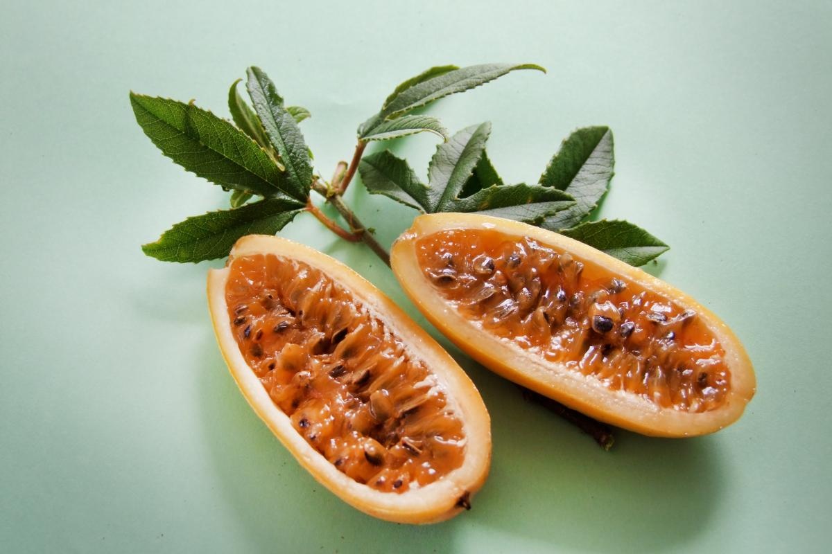 چگونه در خانه میوه پشن فروت پرورش دهیم؟