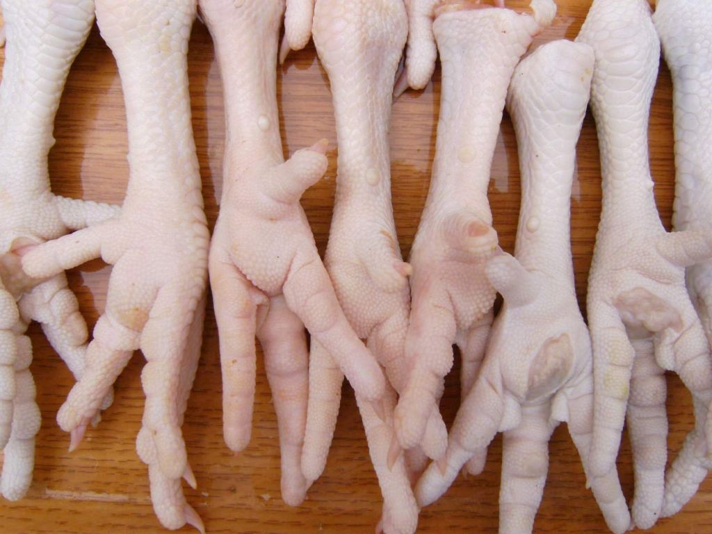 آموزش روش صحیح پاک کردن و پخت پای مرغ 
