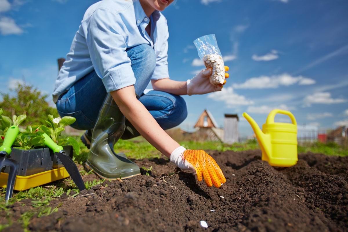  ضد عفونی کردن خاک گلدان با مواد طبیعی و شیمیایی
