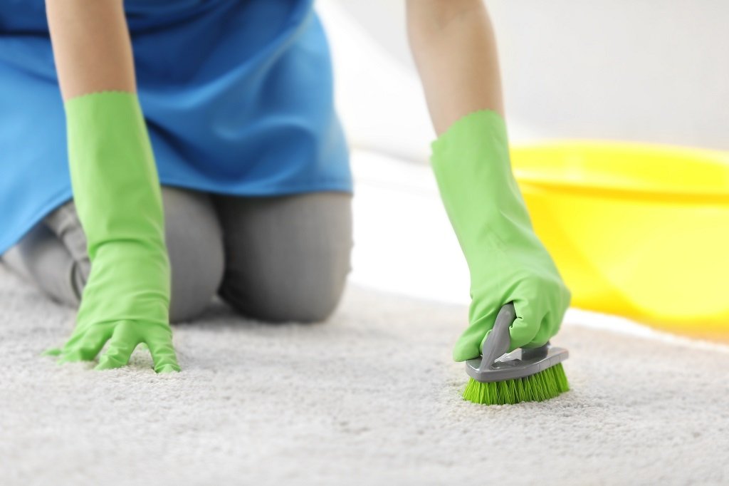 بهترین روش برای از بین بردن بوی فرش چیست؟ 