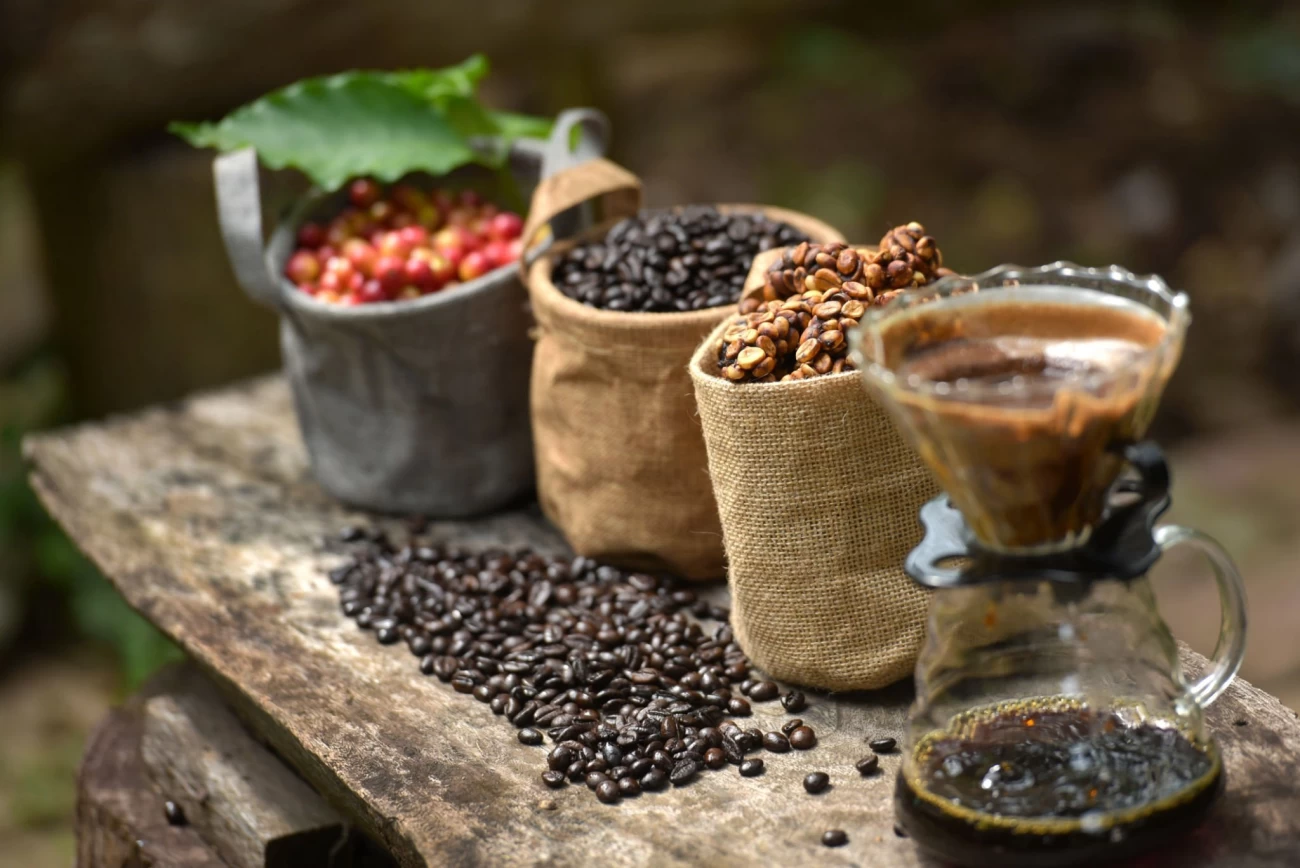 دم کردن قهوه عربی به روش سنتی