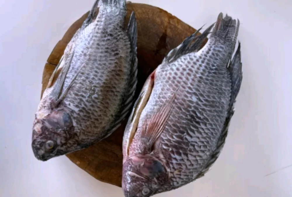 خواص ماهی تیلا پیلا برای سلامتی 
