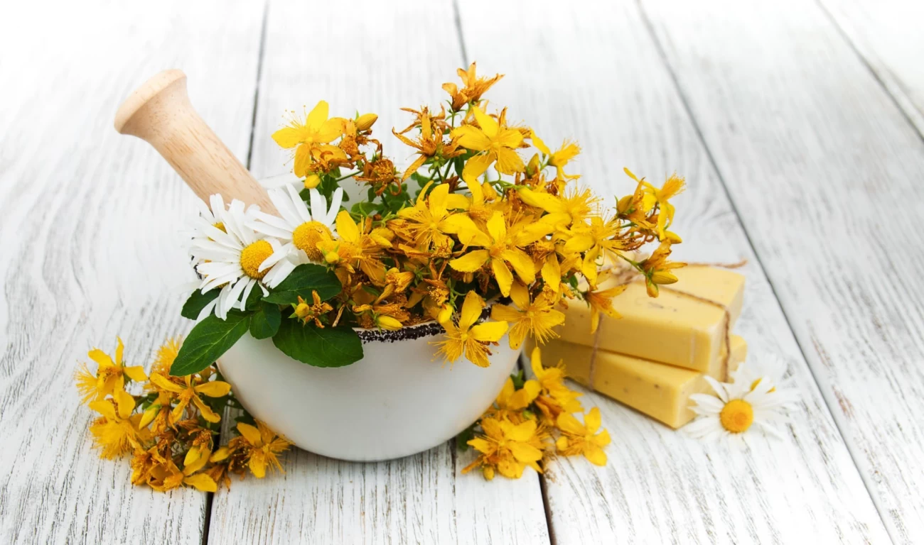 نحوه پرورش و نگهداری گل راعی