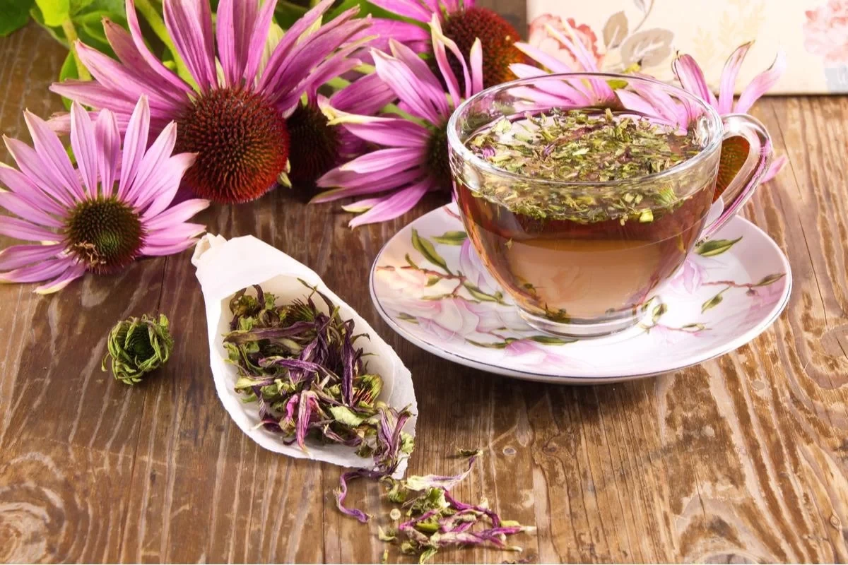 نکات مهم جهت تهیه دمنوش سرخارگل