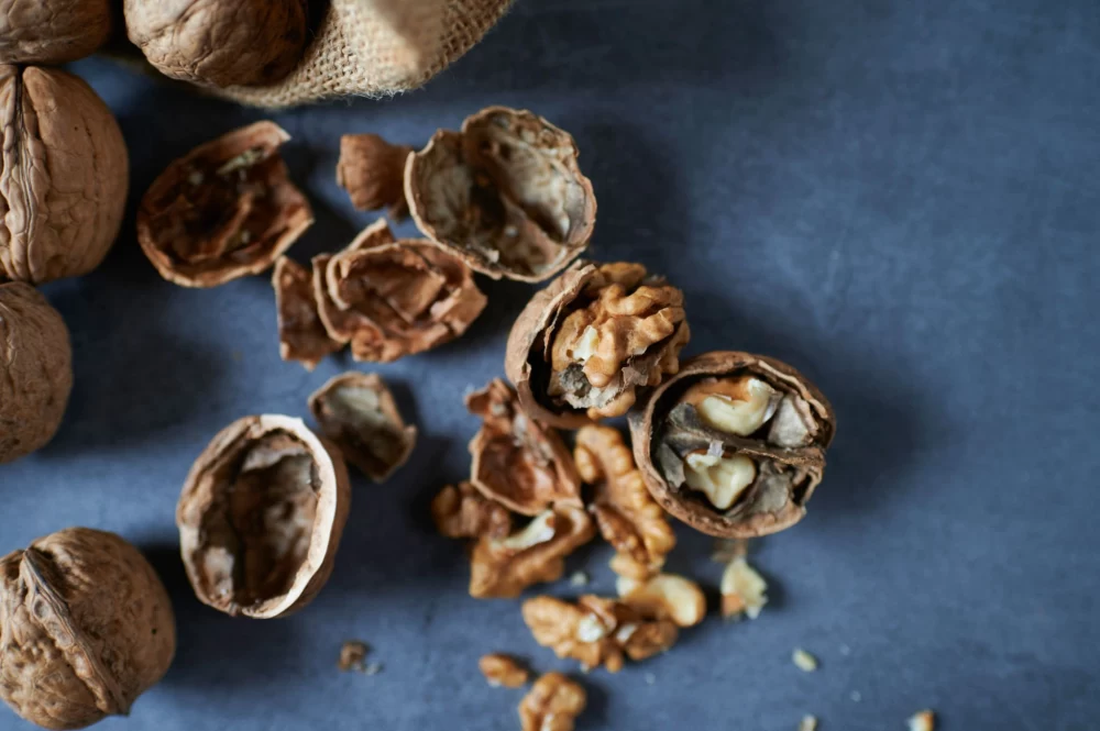 روش نگهداری مغز گردو