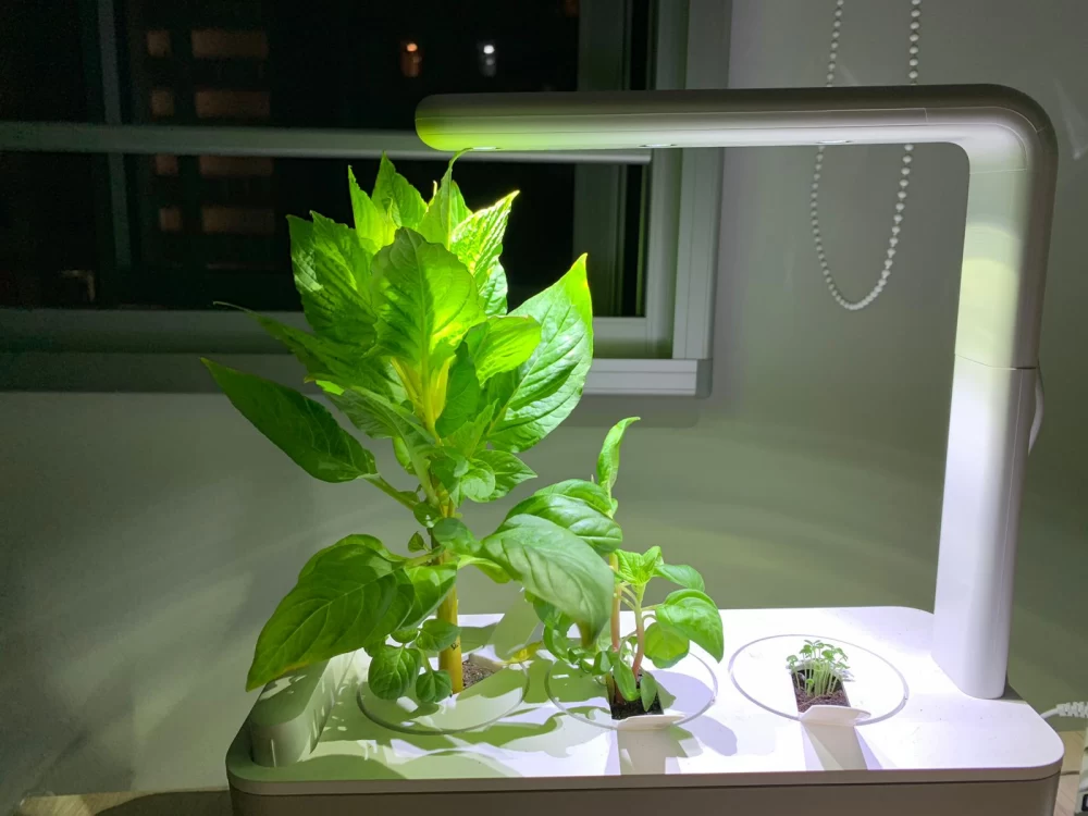 کاربرد نور نارنجی برای گیاهان