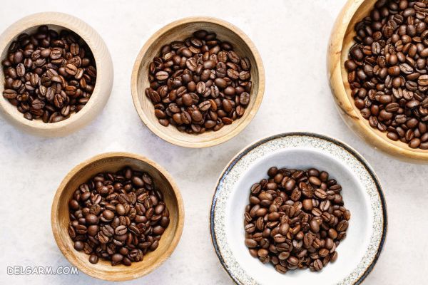 انواع قهوه : شناخت دانه قهوه و انواع آن