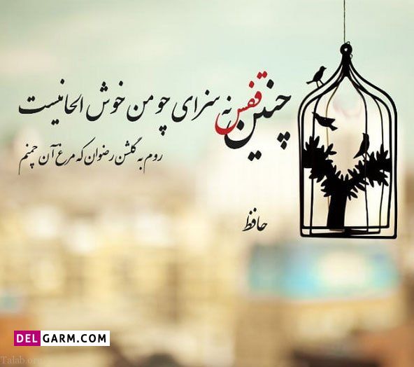 تک بیتی حافظ برای بیو