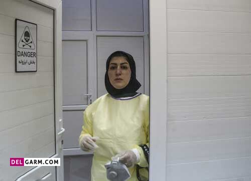 سوابق کاری دکتر نیلوفر نیسی