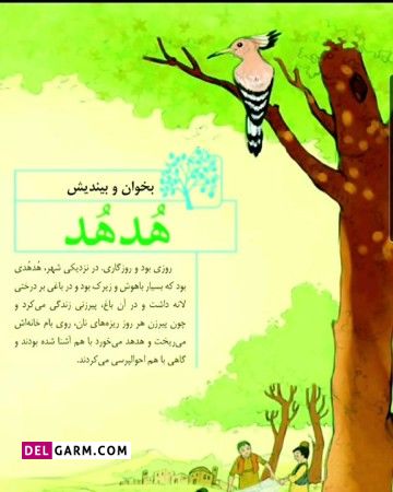 بخوان و بیندیش هدهد
