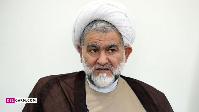نماینده مجلس حسن نوروزی: دختر 13 ساله کودک همسر نیست