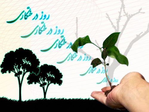 شعر طنز در مورد روز درختکاری - شعر عاشقانه درخت - شعر در مورد درخت از حافظ - شعر درخت و انسان