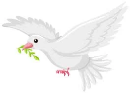 قصه کلاغ سفید