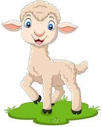 Cartoon lamb