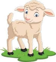 Cartoon lamb