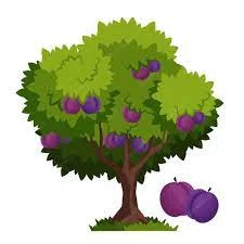 قصه کودکانه کوتاه آلبالوی عجول