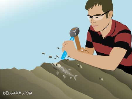 فسیل شده