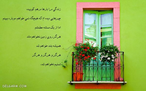 شعر درباره زندگی