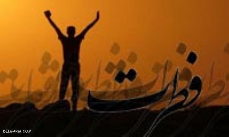 تفاوت ذات و فطرت - حفظ ذات فطری است یا غریزی - فطرت حیوانات - اقسام فطریات